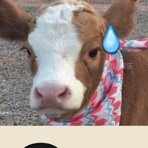 娱乐吃瓜酱素材图片